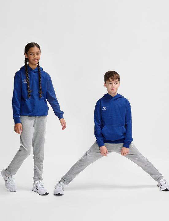 Image du produit hummel HMLGO 2.0 HOODIE KIDS (164)