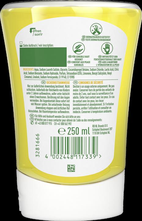 Actual product image Dettol Jester (refill, 250 ml)