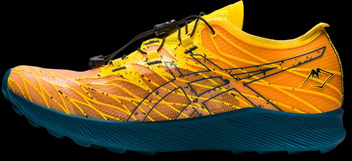 Image du produit ASICS Performance Fujispeed (44)