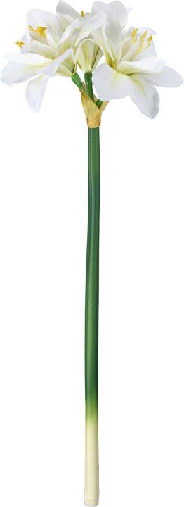 Actual product image EGLO LIVING Molave (63 cm)