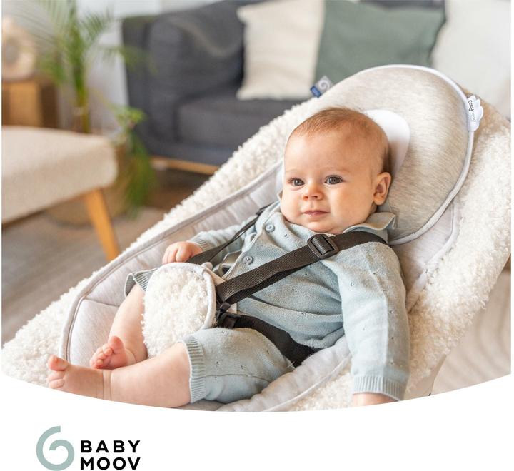 Actual product image Babymoov Cosyhead (24 x 22.5 x 4 cm)