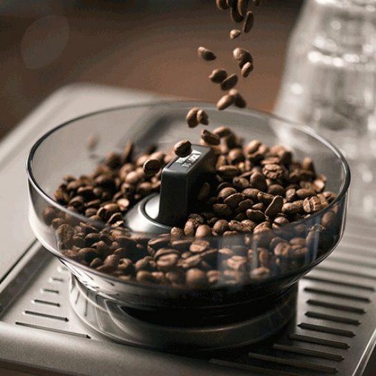 Image du produit Sage La touche Barista (Prise UE)