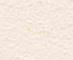 Actual product image Topleem Clay paint (beige rose, 5 l)