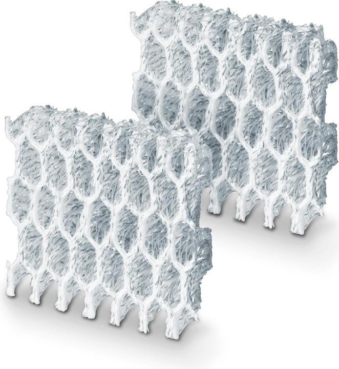 Actual product image Beurer Water filter LW 230 Ion pads 2 pieces (2 x)