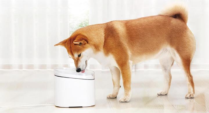 Immagine prodotto Xiaomi Animali domestici intelligenti (2 l)