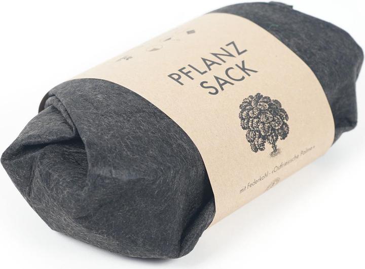 Immagine prodotto Gorilla Gardening Borsa piantatrice di cavoli con piume (Semi di verdura)