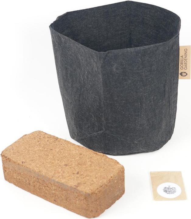 Immagine prodotto Gorilla Gardening Borsa piantatrice di cavoli con piume (Semi di verdura)