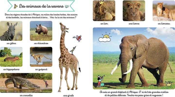 Produktbild Larousse jeunesse Le grand imagier des animaux à toucher (Französisch, Collectif, 2022)