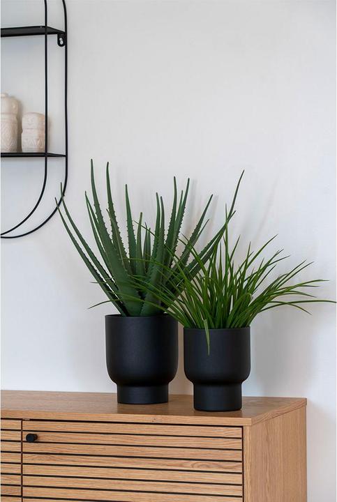 Actual product image House Nordic Grass (45 cm)