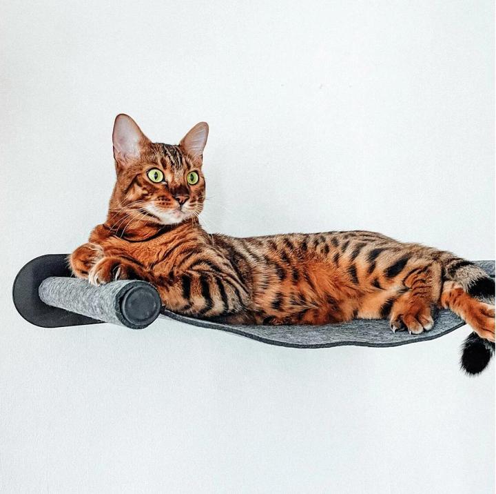 Produktbild CanadianCat Hängematte (Katze)