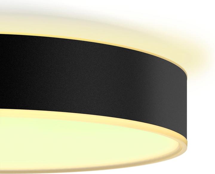 Productafbeelding Philips Hue Hue White Ambiance Enrave (2400 lm)