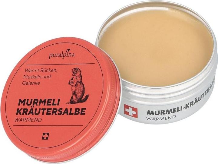 Image du produit Puralpina Pommade aux herbes Murmeli chauffante (1 x, 100 ml, 120 g)