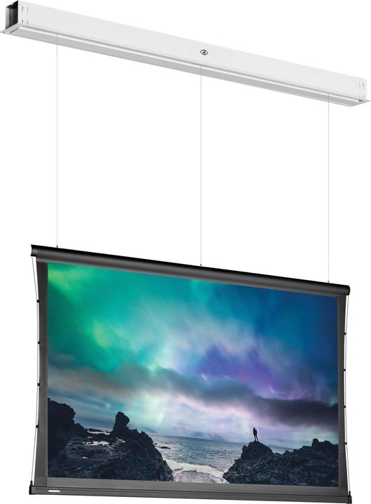 Actual product image Projecta DescenderPro (153.20", 16:10)