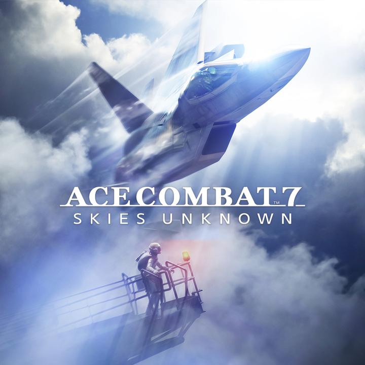 Immagine prodotto Bandai Namco Ace Combat 7: Skies Unknown - Top Gun: Maverick Edition (PS4, EN)