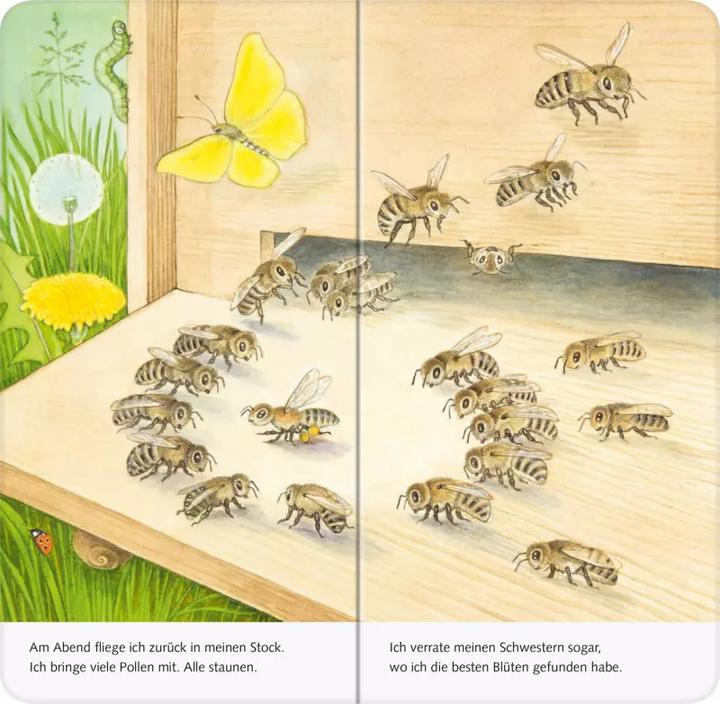 Produktbild Ravensburger Ich bin die kleine Biene (Deutsch, Sandra Grimm, Christine Henkel, 2021)