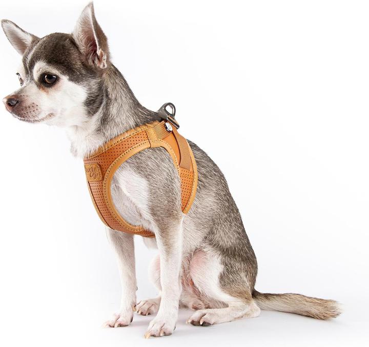 Immagine prodotto Curli Imbracatura in pelle di mela, 2XS, marrone (XXS, Cane, Generale)
