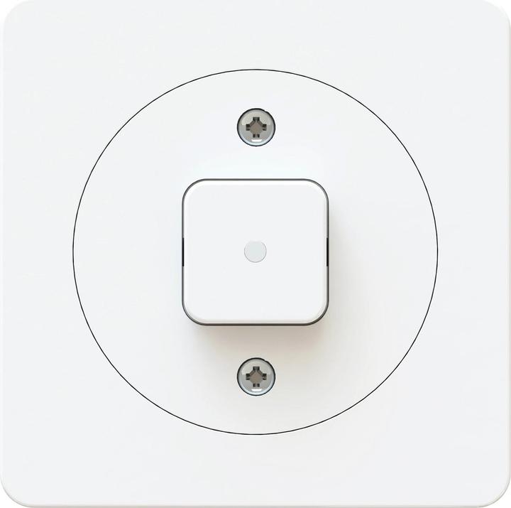 Image du produit Max Hauri maxONE Bouton-poussoir A/R