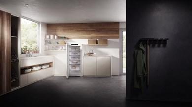Actual product image Liebherr FNa 6635 Plus (Stand-alone, 260 l)