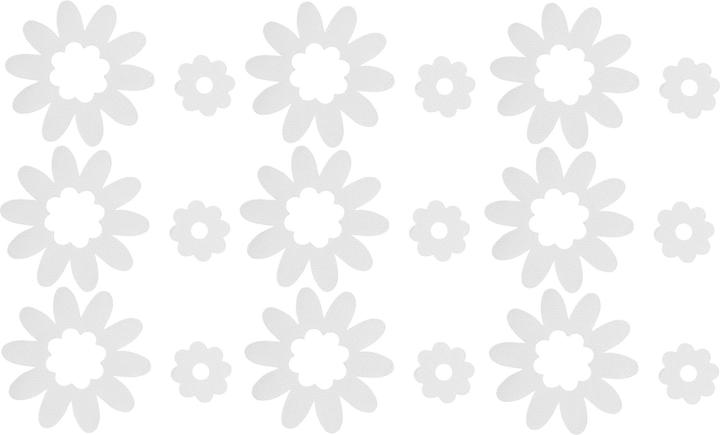 Kleine Wolke Daisies (Ø 10.5 cm)