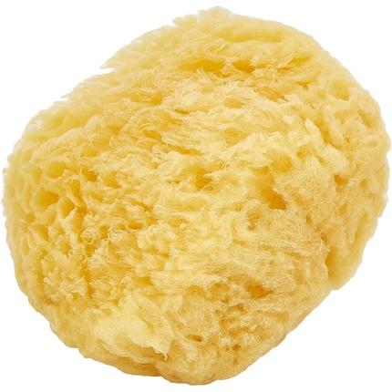 Produktbild Beter Small Natural Sea Sponge Natürlicher Seeschwamm.