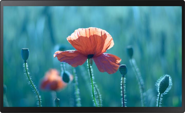 Actual product image Samsung QB24R-TB (1920 x 1080 pixels, 23.80")