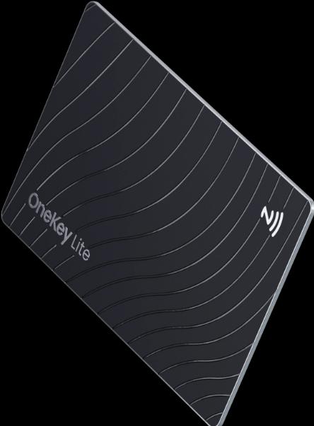 Immagine prodotto Onekey Lite