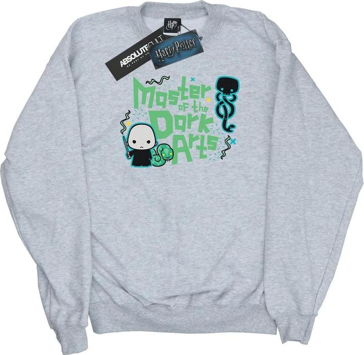 Voldemort Dark Arts Junior Sweatshirt