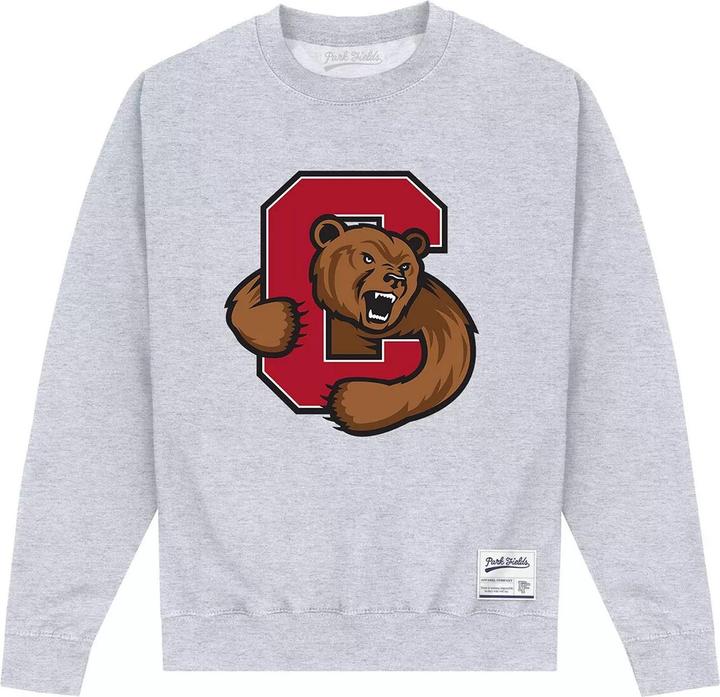 Actual product image Unisex Adult Bear Sweatshirt (XL)