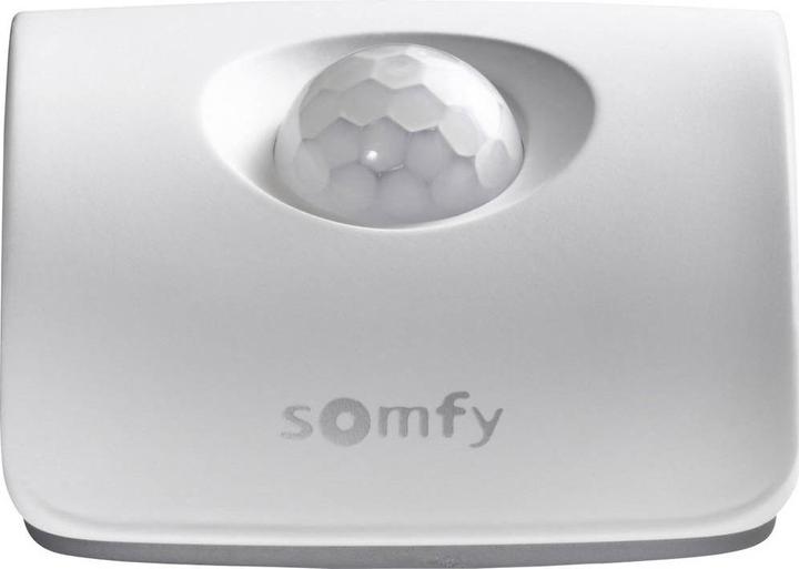 Actual product image somfy Radio motion detector 2401361 T (200 m)