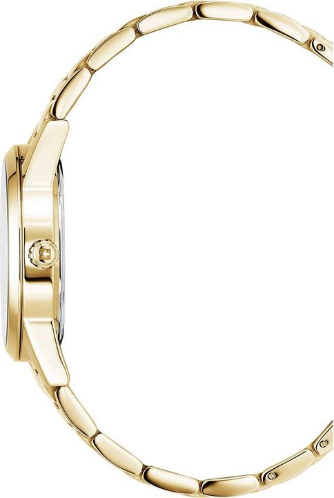 Produktbild Swiss Alpine Military 7767.1114 Argos (Swiss Made, 34 mm)
