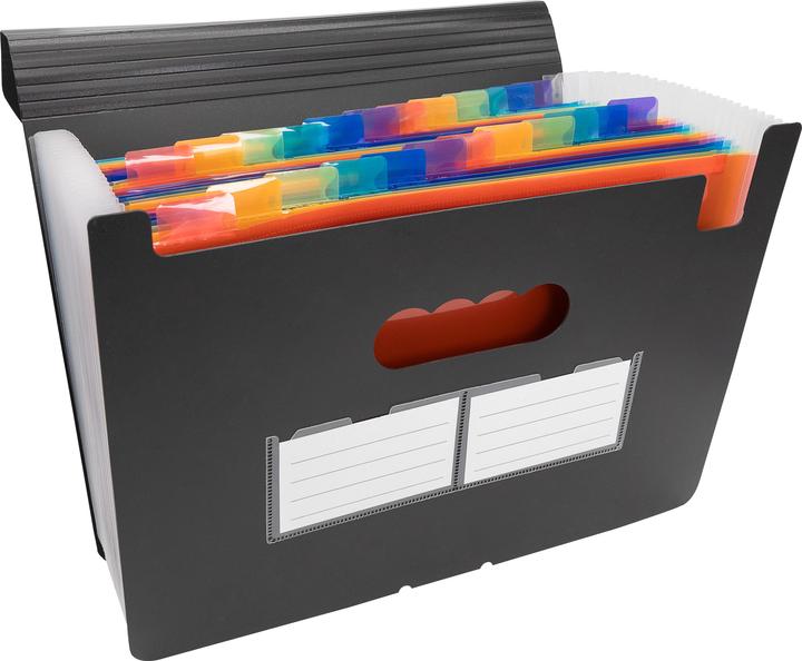 Produktbild Idena Dokumentenmappe A4 24 Fächer schwarz (A4, 1 x)