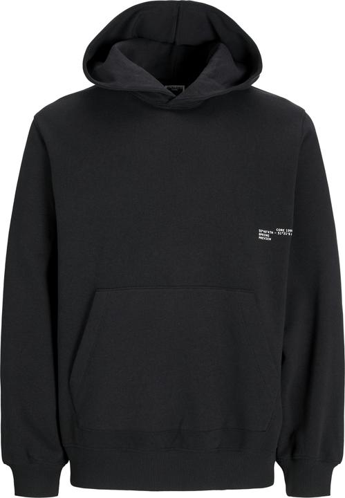 Image du produit Jack & Jones Gedruckt Kapuzenpullover Kapuzenpullover (L)