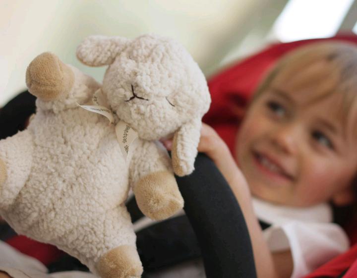 Actual product image Cloud B Sleep Sheep on the go (CB7302-ZZ)