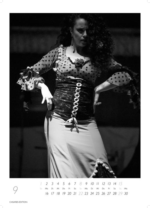 Actual product image Flamenco schwarz-weiss 2026 (German)