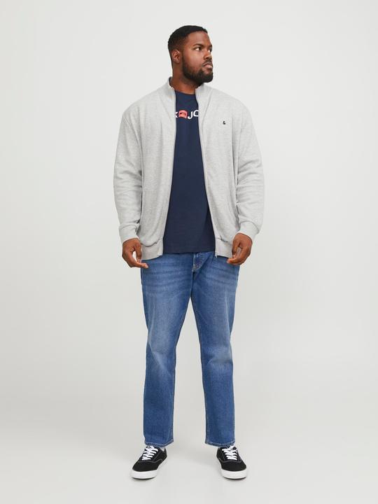 Actual product image Jack & Jones Cotton jersey plus size T-shirt (XXL)