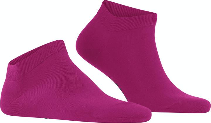 Produktbild Falke ClimaWool SN (Einzelpack, 43 - 44)