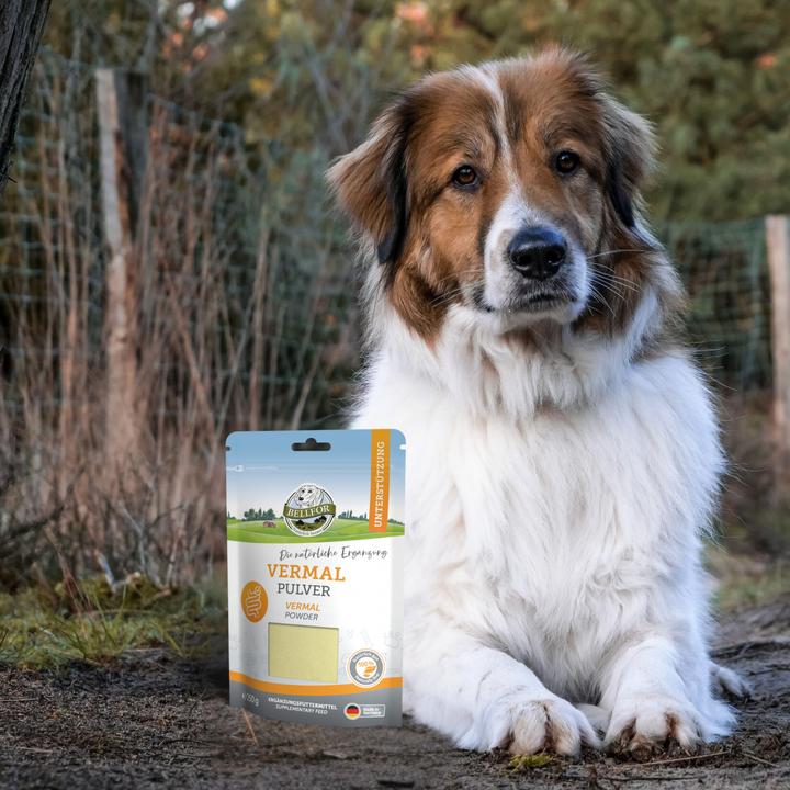 Produktbild Bellfor Hunde-Nahrungsergänzung Vermal – Pulver 250 g (Adult, 1 Stk., 250 g)