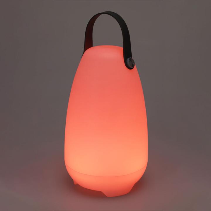 Image du produit ProGarden Lot de 2 lampes de table rechargeables avec 4 modes d'éclairage en blanc & 16 couleurs RGB, 26cm,