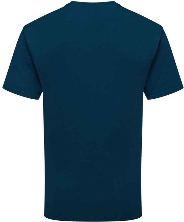 Actual product image Fruit of the Loom Unisex Adult Cotton T-Shirt (L)