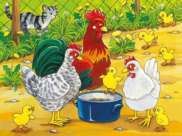 Immagine prodotto Ravensburger Puzzle a dadi Animali della fattoria (12 pezzi)
