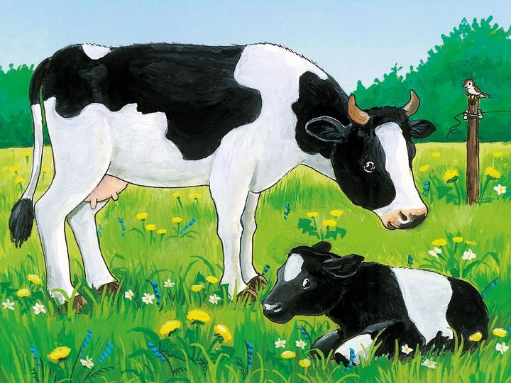 Immagine prodotto Ravensburger Puzzle a dadi Animali della fattoria (12 pezzi)
