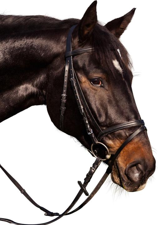 Actual product image Kerbl Snaffle bridle standard