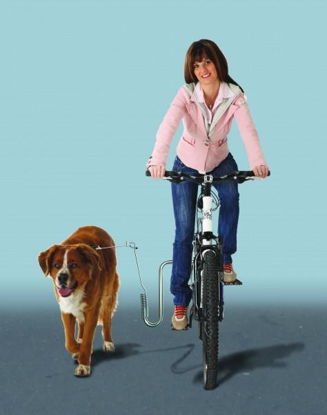Actual product image Dogrunner Bike holder