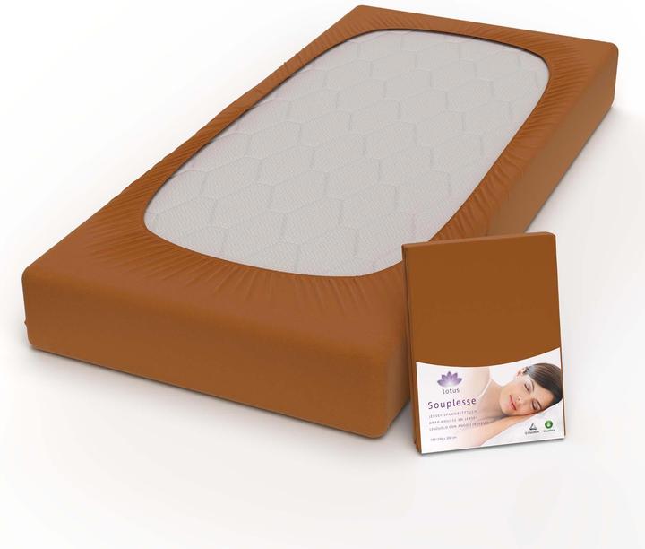Immagine prodotto Lotus Bettwaren Lenzuolo matrimoniale in jersey Souplesse (200 x 220 cm)
