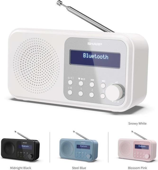Actual product image Sharp DR-P420 (DAB+, DAB, FM, Bluetooth)