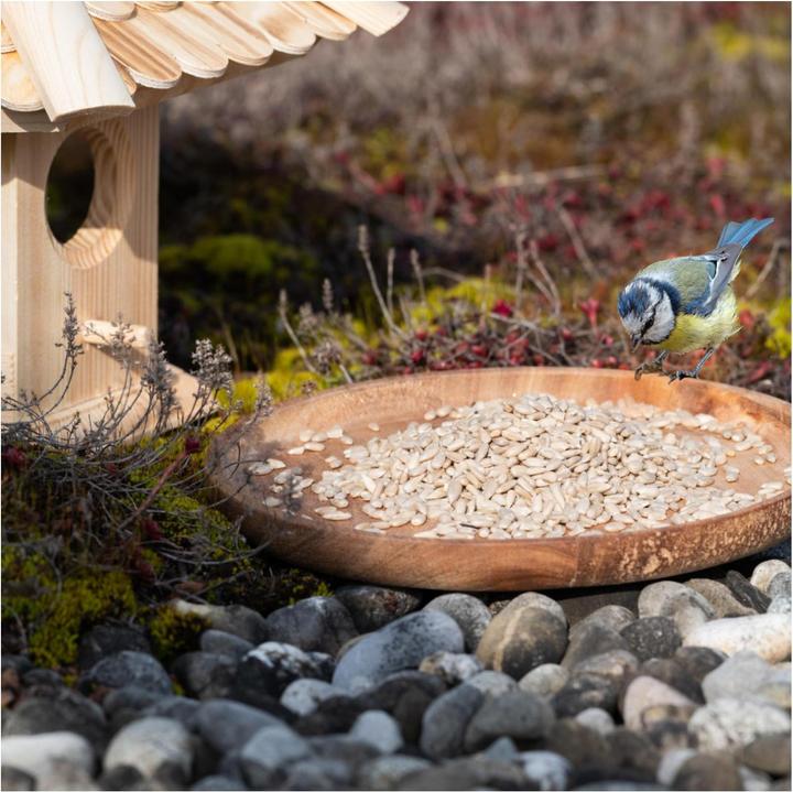 Actual product image Lyra Pet Sunflower seeds peeled (1 x, 25 kg)
