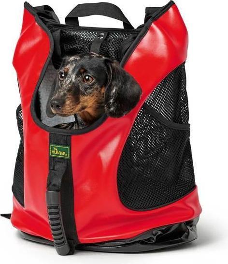 Actual product image Hunter Taylor (Dog, Foldable)