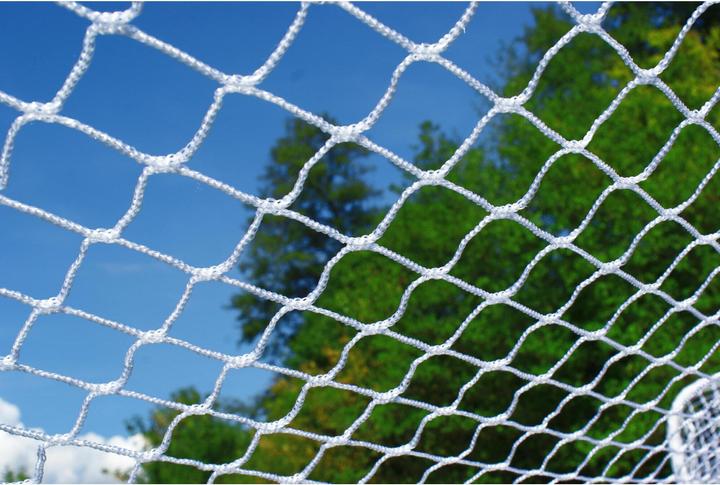 Actual product image Power Shot Powershot football net