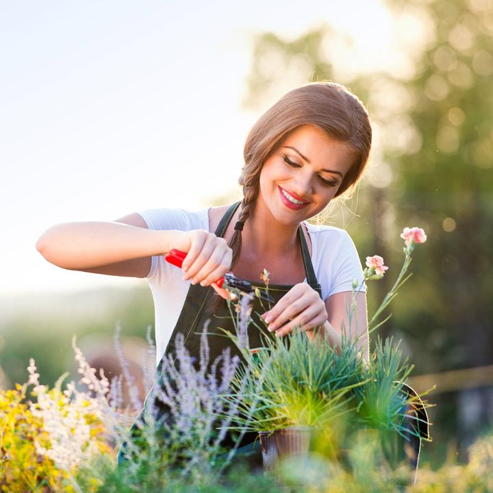 Image du produit Relaxdays Jardinière avec treillis (38 cm, 38 cm)