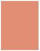 Actual product image Clinique Blush (102-innocent peach)